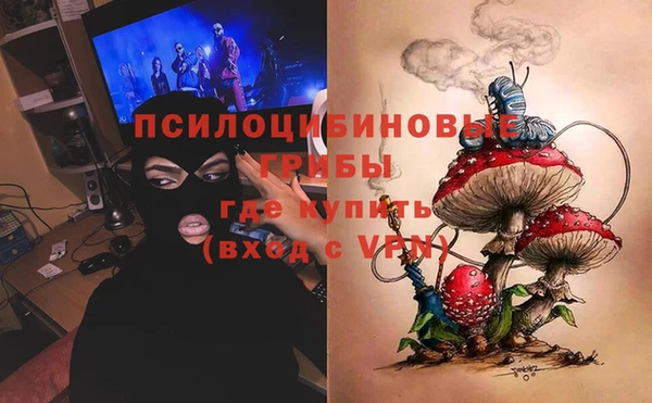 гашиш Богданович